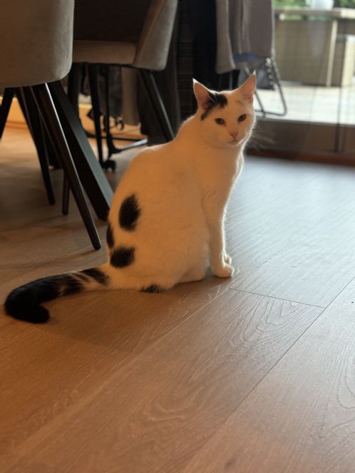 Nydelig 3 �r gutt