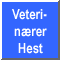 Veterin�rer Hest