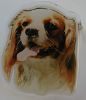 Cavalier King Charles utstillingsn�l